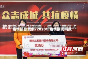 疫情捐款案例/2020年疫情期间捐款