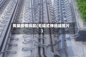 黄陂疫情捐款(无缝式伸缩缝图片)