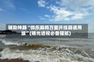 辅助神器“微乐麻将万能开挂器通用版”(曝光透视必备猫腻)