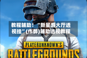 教程辅助！“新星游大厅透视挂”(作弊)辅助透视教程