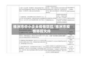 株洲市中小企业疫情防控/株洲市疫情防控文件
