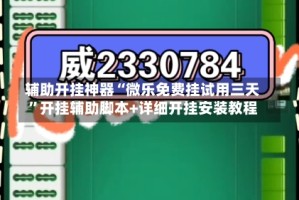 辅助开挂神器“微乐免费挂试用三天”开挂辅助脚本+详细开挂安装教程