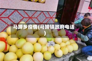 马蹄乡疫情(马蹄镇政府电话)