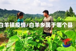 白羊镇疫情/白羊乡属于哪个县