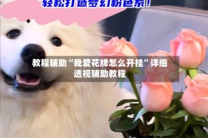 教程辅助“我爱花牌怎么开挂”详细透视辅助教程