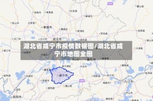 湖北省咸宁市疫情数据图/湖北省咸宁市地图全图