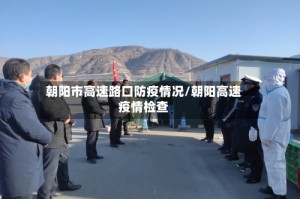 朝阳市高速路口防疫情况/朝阳高速疫情检查
