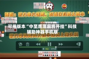 可用版本“中至鹰潭麻将开挂”科技辅助神器手机版