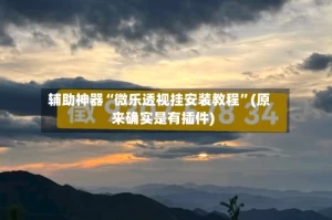 辅助神器“微乐透视挂安装教程”(原来确实是有插件)