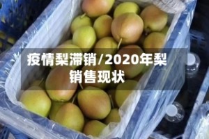 疫情梨滞销/2020年梨销售现状