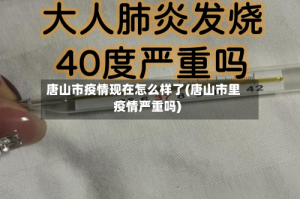 唐山市疫情现在怎么样了(唐山市里疫情严重吗)