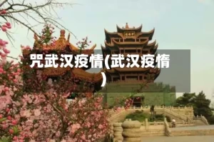 咒武汉疫情(武汉疫惰)
