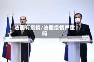 法国有疫情/法国疫情严重吗