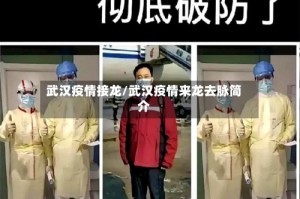武汉疫情接龙/武汉疫情来龙去脉简介