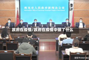 政府在疫情/政府在疫情中做了什么