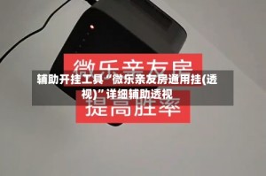 辅助开挂工具“微乐亲友房通用挂(透视)”详细辅助透视