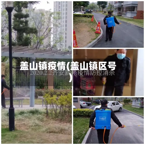 盖山镇疫情(盖山镇区号)-第2张图片