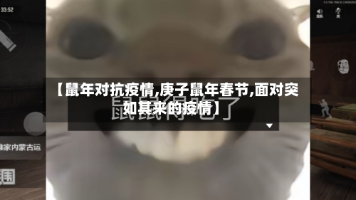 【鼠年对抗疫情,庚子鼠年春节,面对突如其来的疫情】-第1张图片