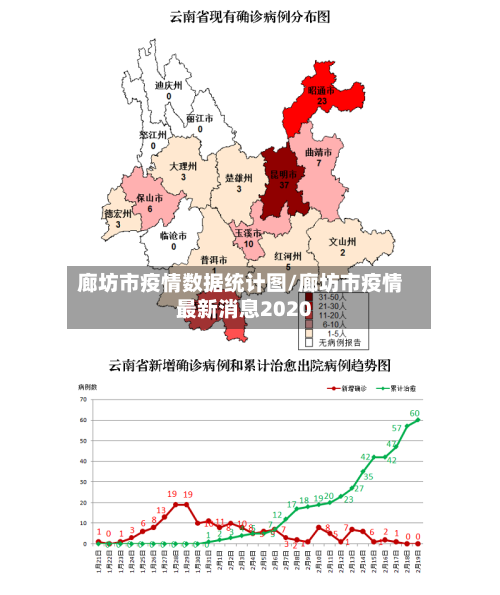 廊坊市疫情数据统计图/廊坊市疫情最新消息2020-第3张图片