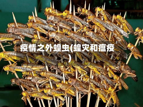 疫情之外蝗虫(蝗灾和瘟疫)-第2张图片