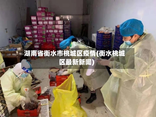 湖南省衡水市桃城区疫情(衡水桃城区最新新闻)-第2张图片