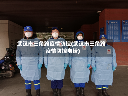 武汉市三角路疫情防控(武汉市三角路疫情防控电话)-第2张图片