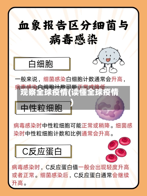 观察全球疫情(读懂全球疫情)-第3张图片