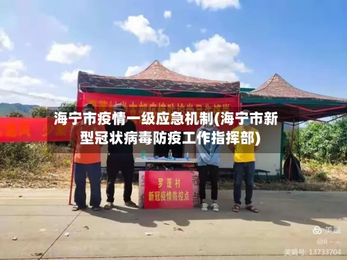海宁市疫情一级应急机制(海宁市新型冠状病毒防疫工作指挥部)-第2张图片