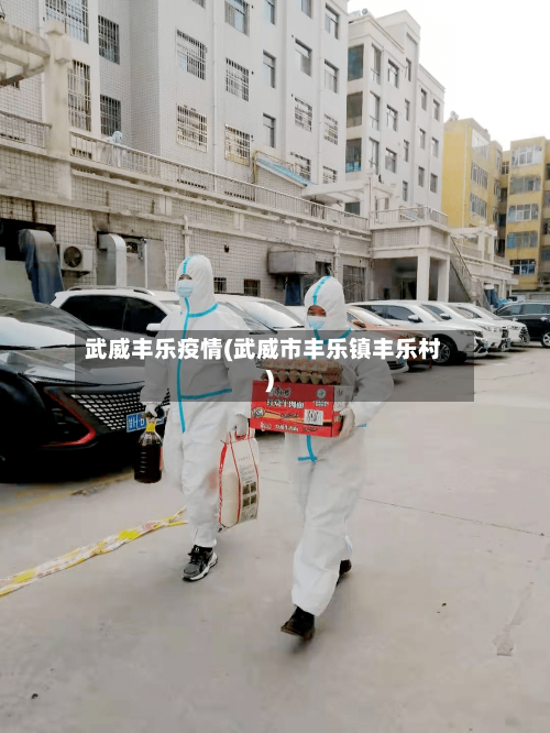 武威丰乐疫情(武威市丰乐镇丰乐村)-第1张图片