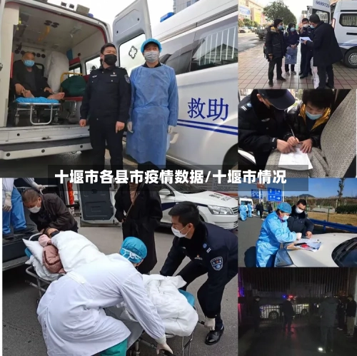 十堰市各县市疫情数据/十堰市情况-第2张图片