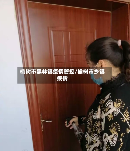 榆树市黑林镇疫情管控/榆树市乡镇疫情-第2张图片