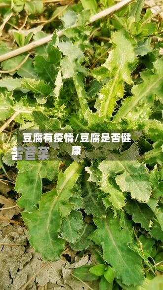 豆腐有疫情/豆腐是否健康-第1张图片