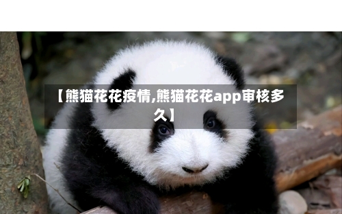 【熊猫花花疫情,熊猫花花app审核多久】-第1张图片