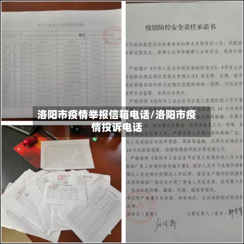 洛阳市疫情举报信箱电话/洛阳市疫情投诉电话-第2张图片