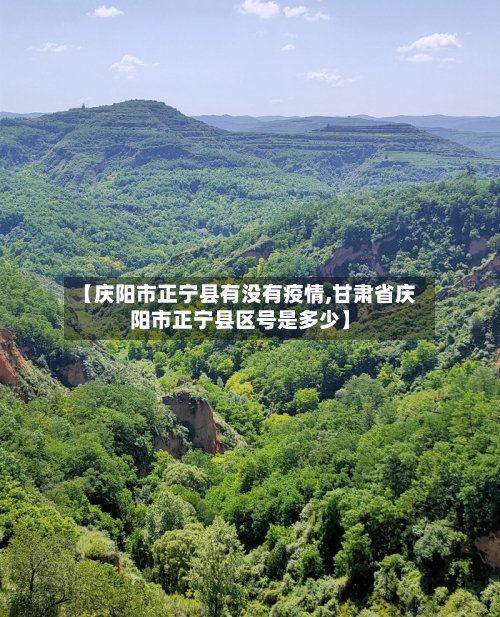 【庆阳市正宁县有没有疫情,甘肃省庆阳市正宁县区号是多少】-第1张图片