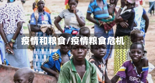 疫情和粮食/疫情粮食危机-第1张图片
