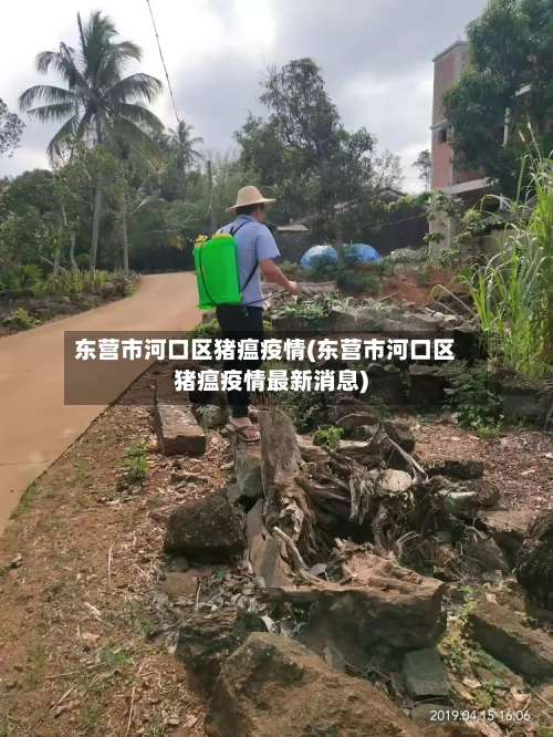 东营市河口区猪瘟疫情(东营市河口区猪瘟疫情最新消息)-第2张图片