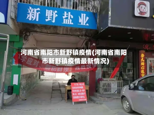 河南省南阳市新野镇疫情(河南省南阳市新野镇疫情最新情况)-第1张图片