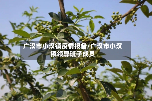 广汉市小汉镇疫情报备/广汉市小汉镇领导班子成员-第1张图片