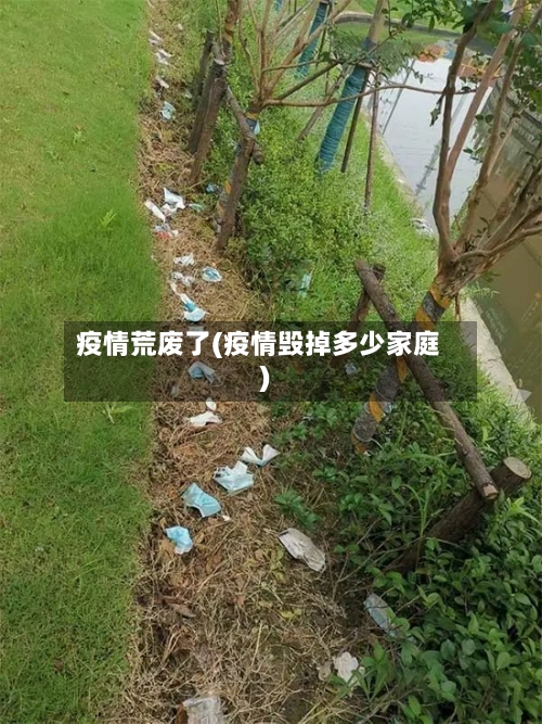 疫情荒废了(疫情毁掉多少家庭)-第2张图片
