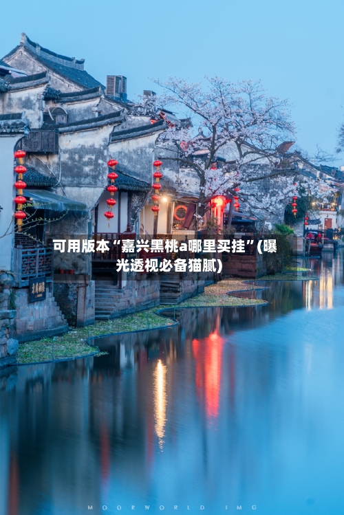 可用版本“嘉兴黑桃a哪里买挂”(曝光透视必备猫腻)-第1张图片