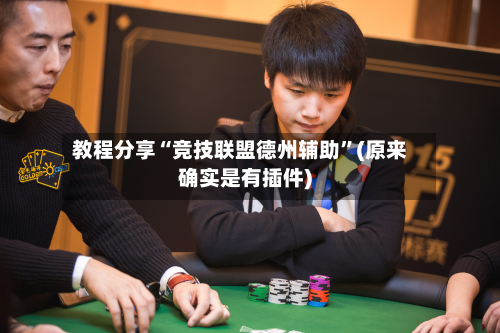 教程分享“竞技联盟德州辅助”(原来确实是有插件)-第2张图片