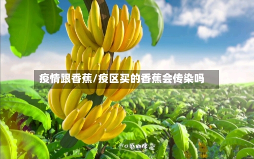 疫情跟香蕉/疫区买的香蕉会传染吗-第1张图片