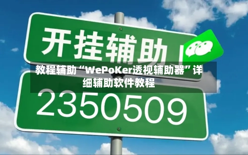 教程辅助“WePoKer透视辅助器”详细辅助软件教程-第3张图片