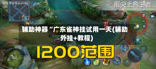 辅助神器“广东雀神挂试用一天(辅助外挂+教程)-第3张图片