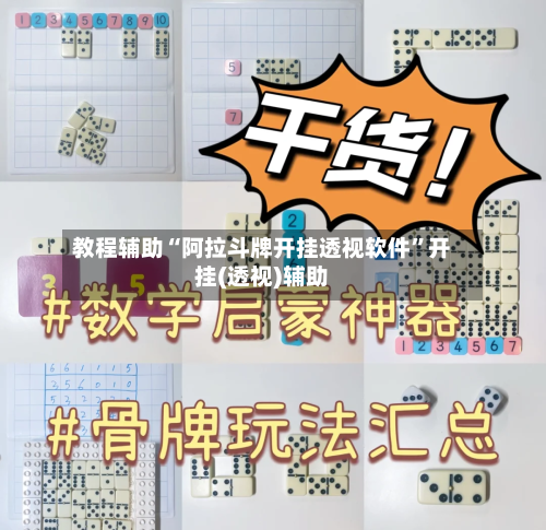 教程辅助“阿拉斗牌开挂透视软件”开挂(透视)辅助-第1张图片