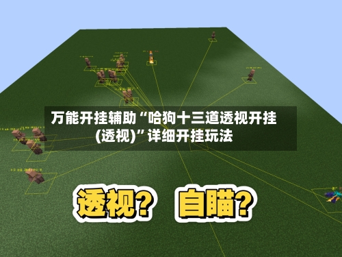 万能开挂辅助“哈狗十三道透视开挂(透视)”详细开挂玩法-第3张图片