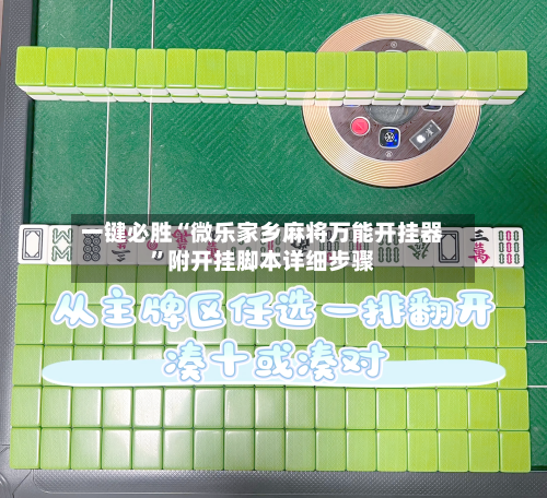 一键必胜“微乐家乡麻将万能开挂器”附开挂脚本详细步骤-第1张图片