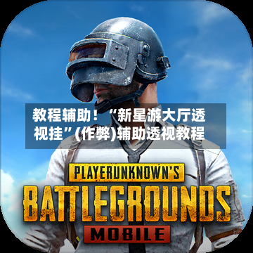 教程辅助！“新星游大厅透视挂	”(作弊)辅助透视教程-第1张图片