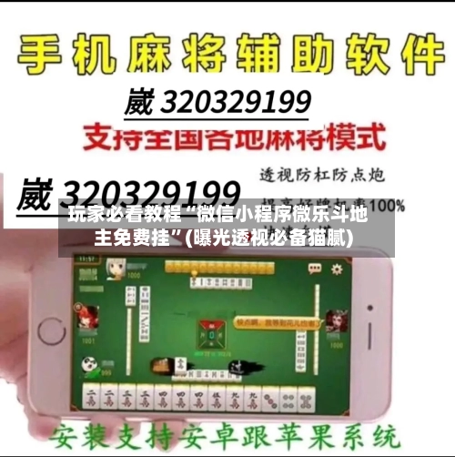 玩家必看教程“微信小程序微乐斗地主免费挂	”(曝光透视必备猫腻)-第2张图片